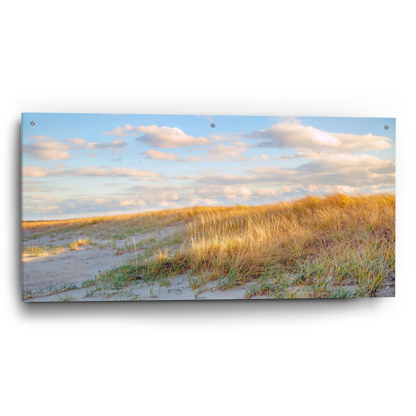 Epic Art ' Grassy Dunes Panorama' by Brooke T. Ryan, Acrylic Glass Wall Art,48x24