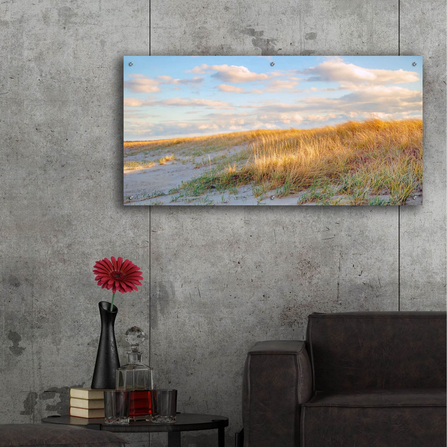 Epic Art ' Grassy Dunes Panorama' by Brooke T. Ryan, Acrylic Glass Wall Art,48x24