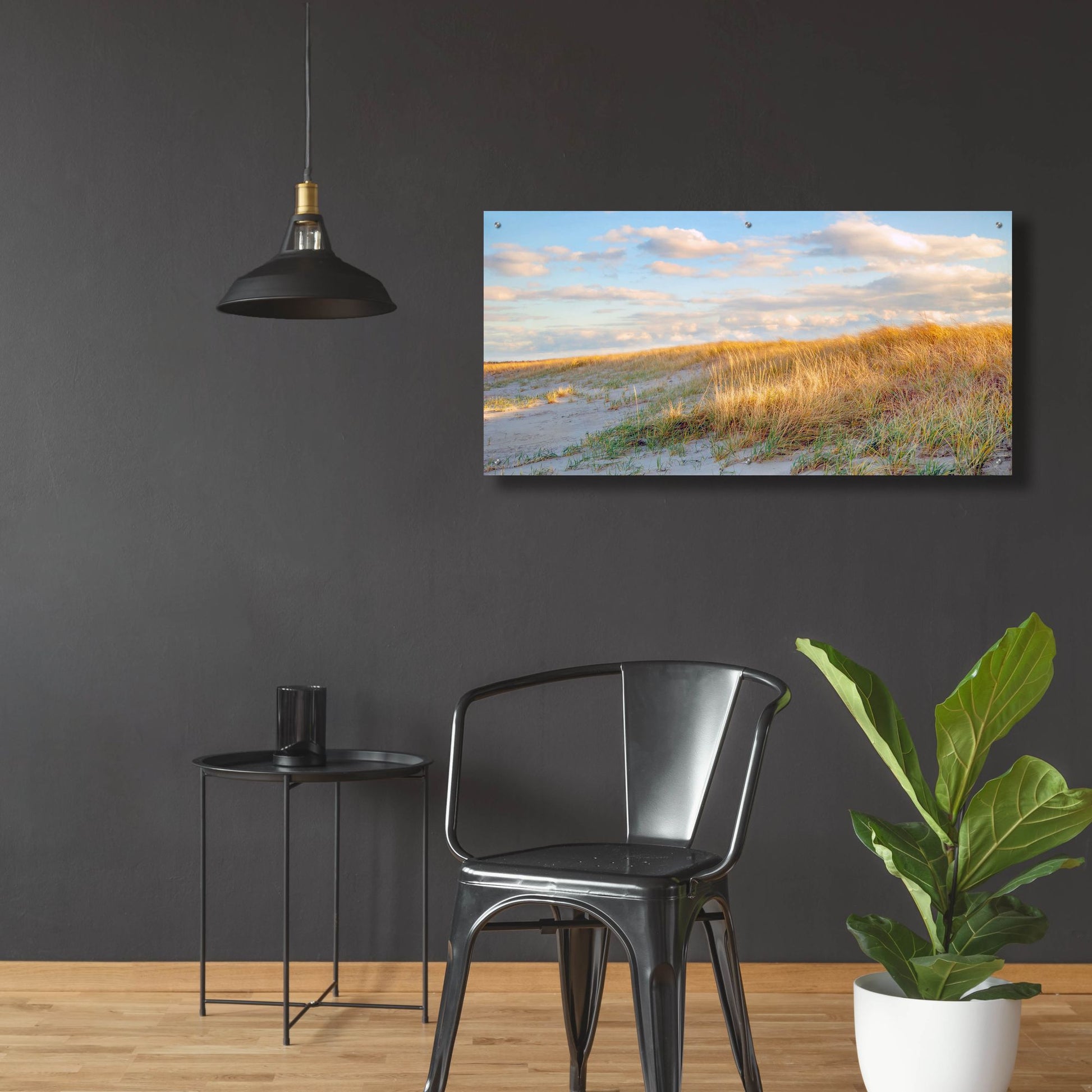 Epic Art ' Grassy Dunes Panorama' by Brooke T. Ryan, Acrylic Glass Wall Art,48x24