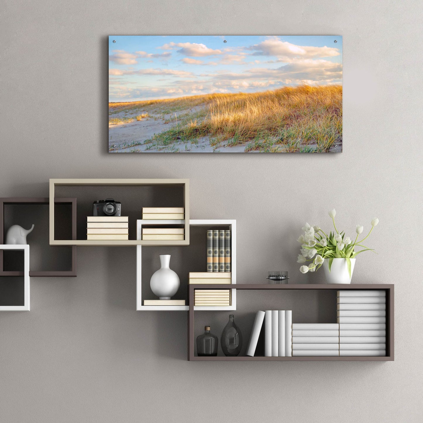 Epic Art ' Grassy Dunes Panorama' by Brooke T. Ryan, Acrylic Glass Wall Art,48x24