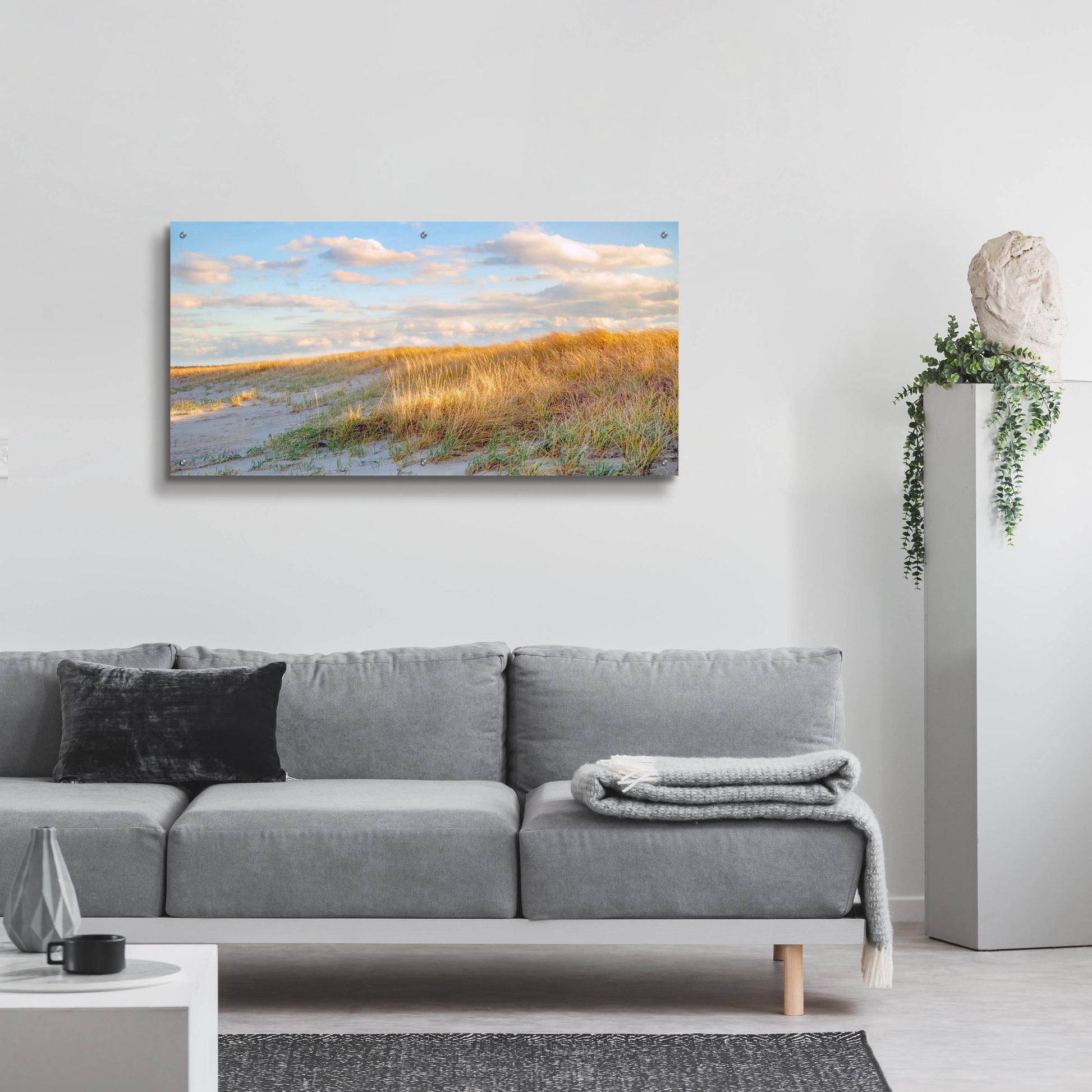 Epic Art ' Grassy Dunes Panorama' by Brooke T. Ryan, Acrylic Glass Wall Art,48x24