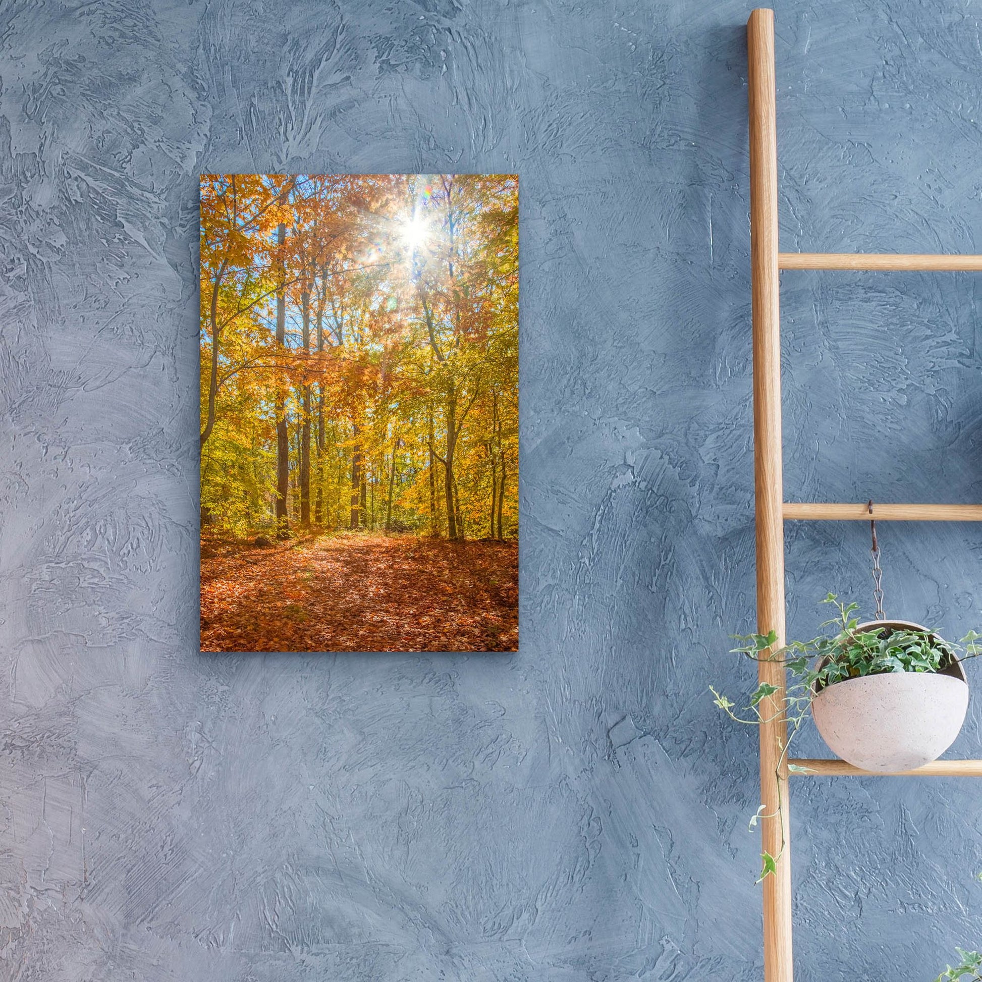 Epic Art ' Autumn Forest' by Brooke T. Ryan, Acrylic Glass Wall Art,16x24