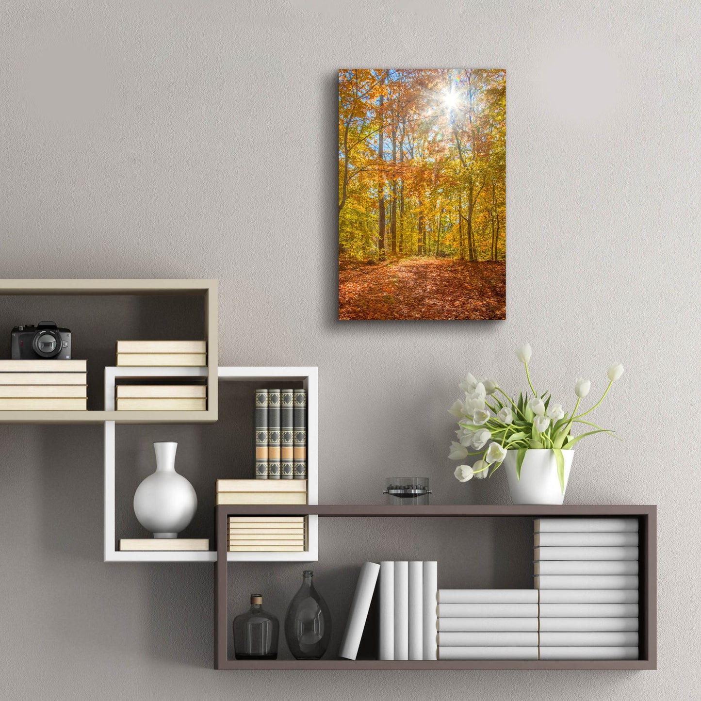 Epic Art ' Autumn Forest' by Brooke T. Ryan, Acrylic Glass Wall Art,16x24