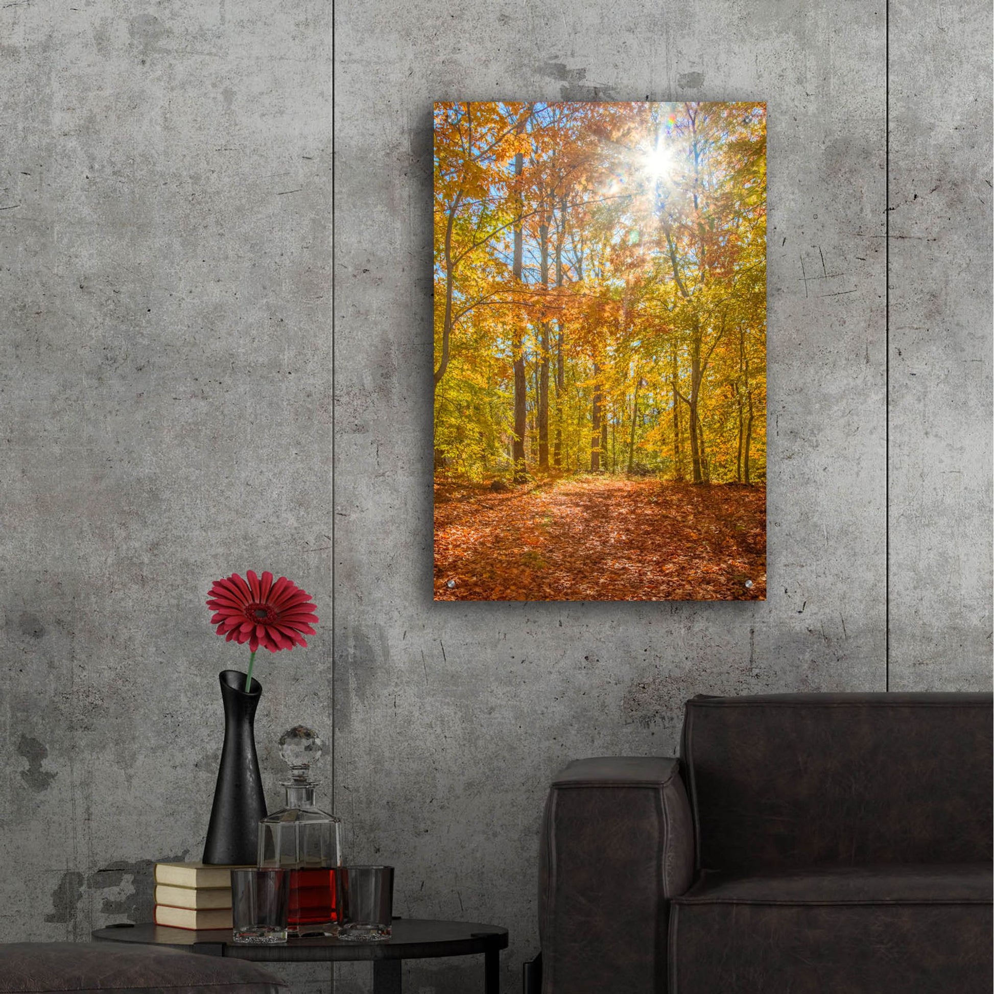 Epic Art ' Autumn Forest' by Brooke T. Ryan, Acrylic Glass Wall Art,24x36