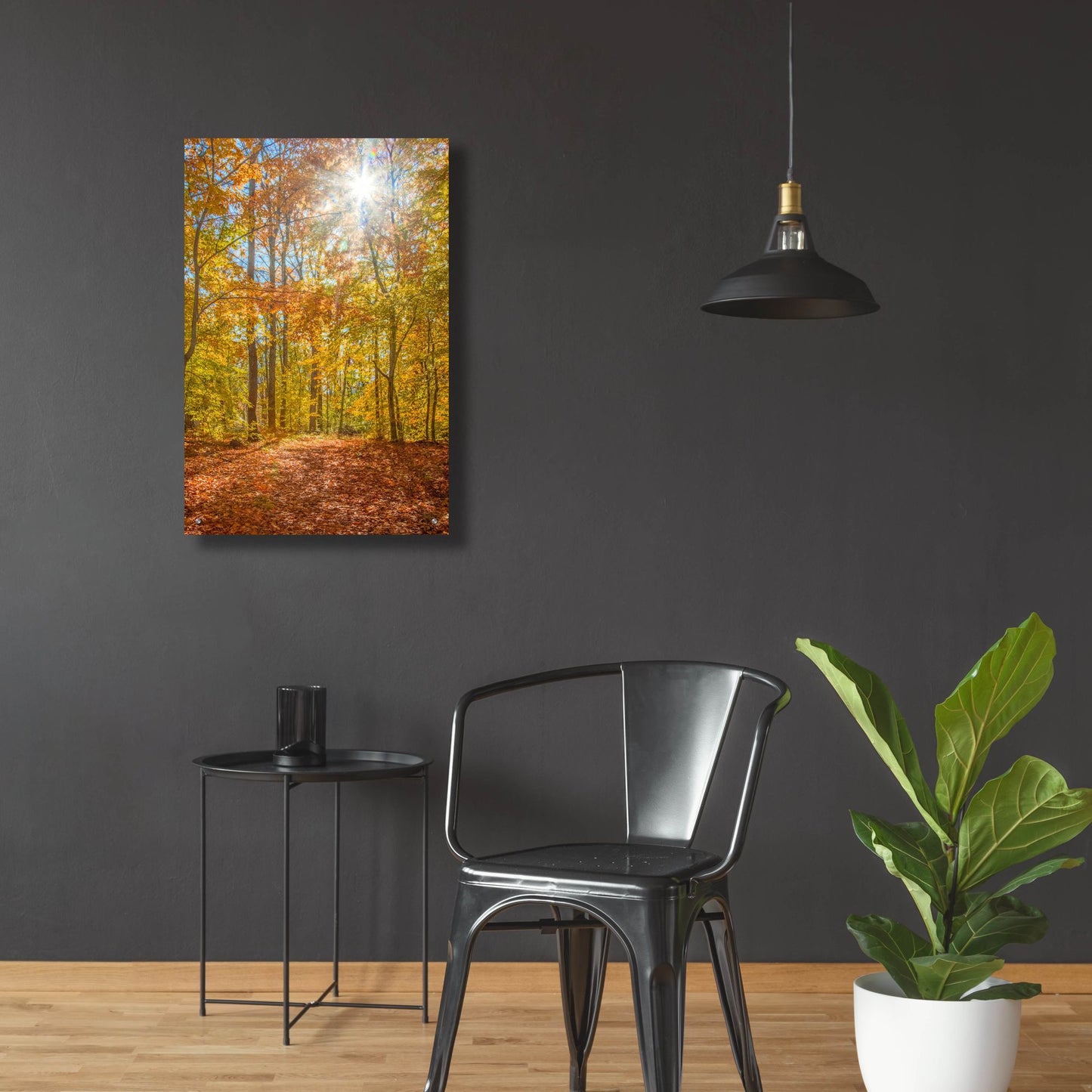 Epic Art ' Autumn Forest' by Brooke T. Ryan, Acrylic Glass Wall Art,24x36