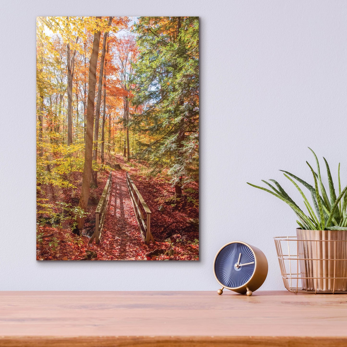 Epic Art ' Forest Bridge' by Brooke T. Ryan, Acrylic Glass Wall Art,12x16