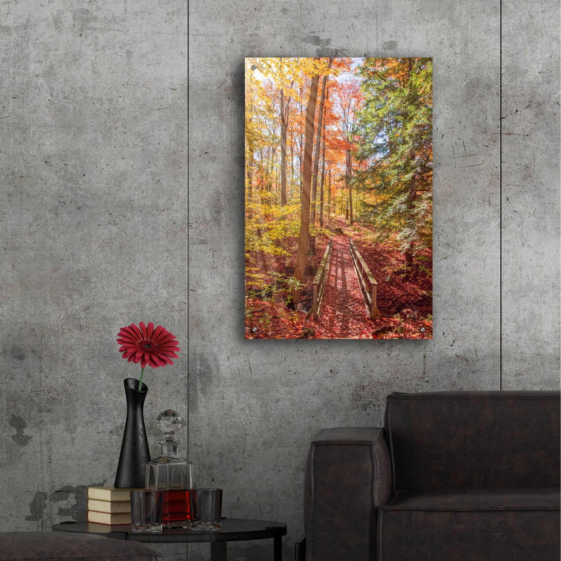 Epic Art ' Forest Bridge' by Brooke T. Ryan, Acrylic Glass Wall Art,24x36