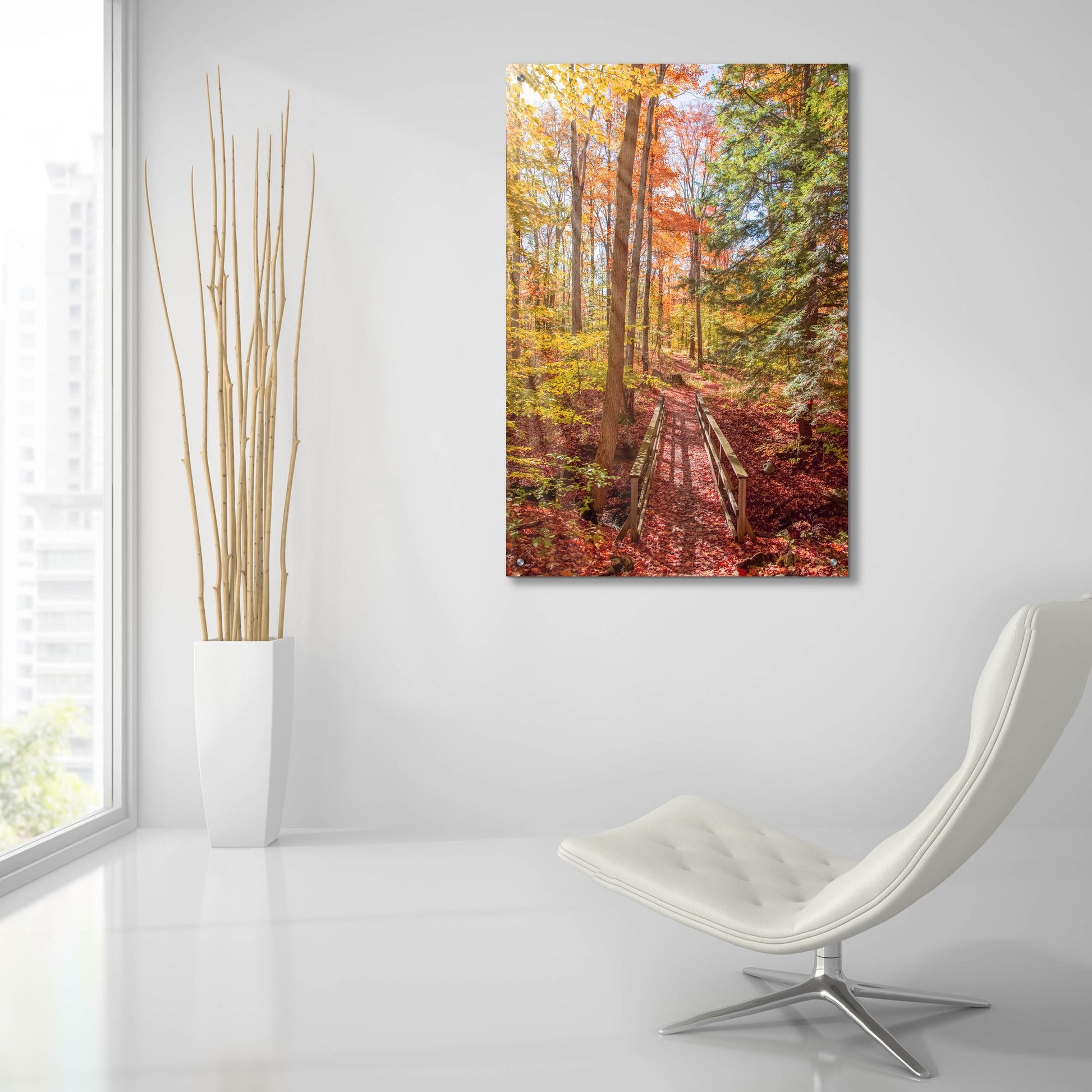 Epic Art ' Forest Bridge' by Brooke T. Ryan, Acrylic Glass Wall Art,24x36