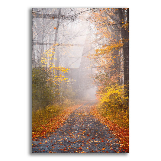 Epic Art ' Road and Autumn Mist' by Brooke T. Ryan, Acrylic Glass Wall Art