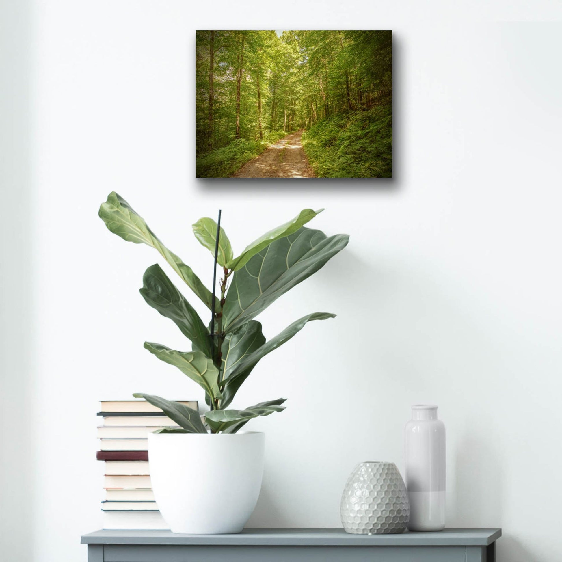 Epic Art ' Forest Road' by Brooke T. Ryan, Acrylic Glass Wall Art,16x12