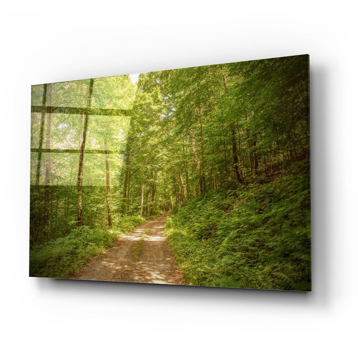 Epic Art ' Forest Road' by Brooke T. Ryan, Acrylic Glass Wall Art,24x16