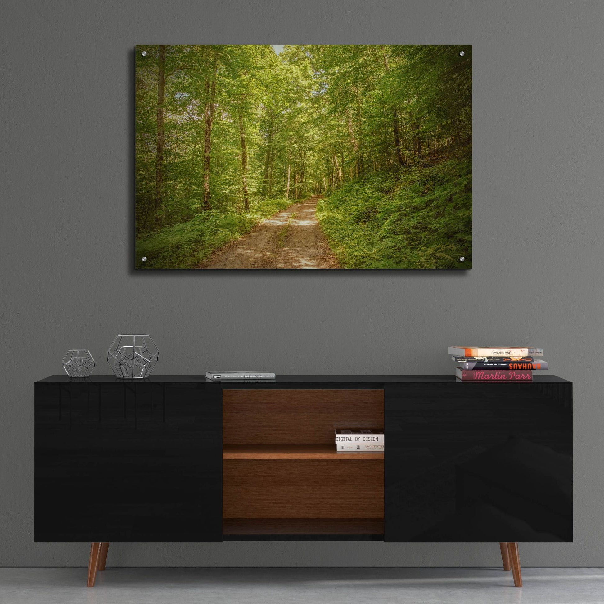 Epic Art ' Forest Road' by Brooke T. Ryan, Acrylic Glass Wall Art,36x24