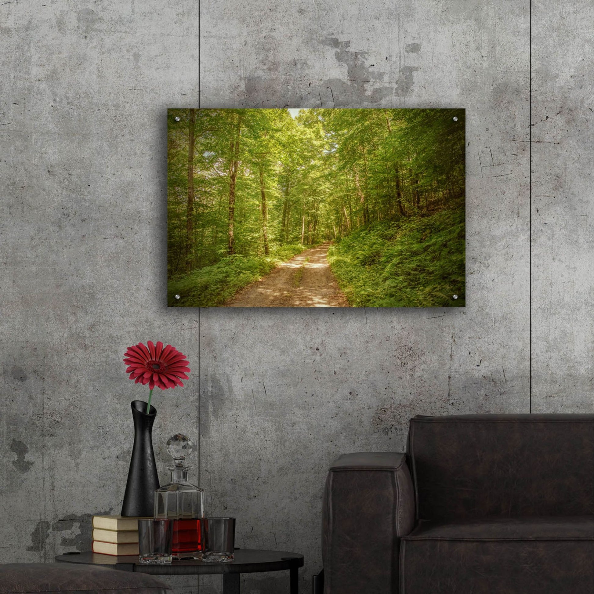 Epic Art ' Forest Road' by Brooke T. Ryan, Acrylic Glass Wall Art,36x24