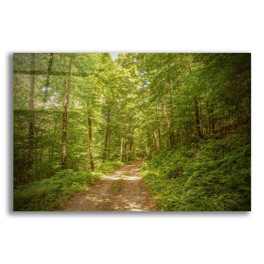 Epic Art ' Forest Road' by Brooke T. Ryan, Acrylic Glass Wall Art