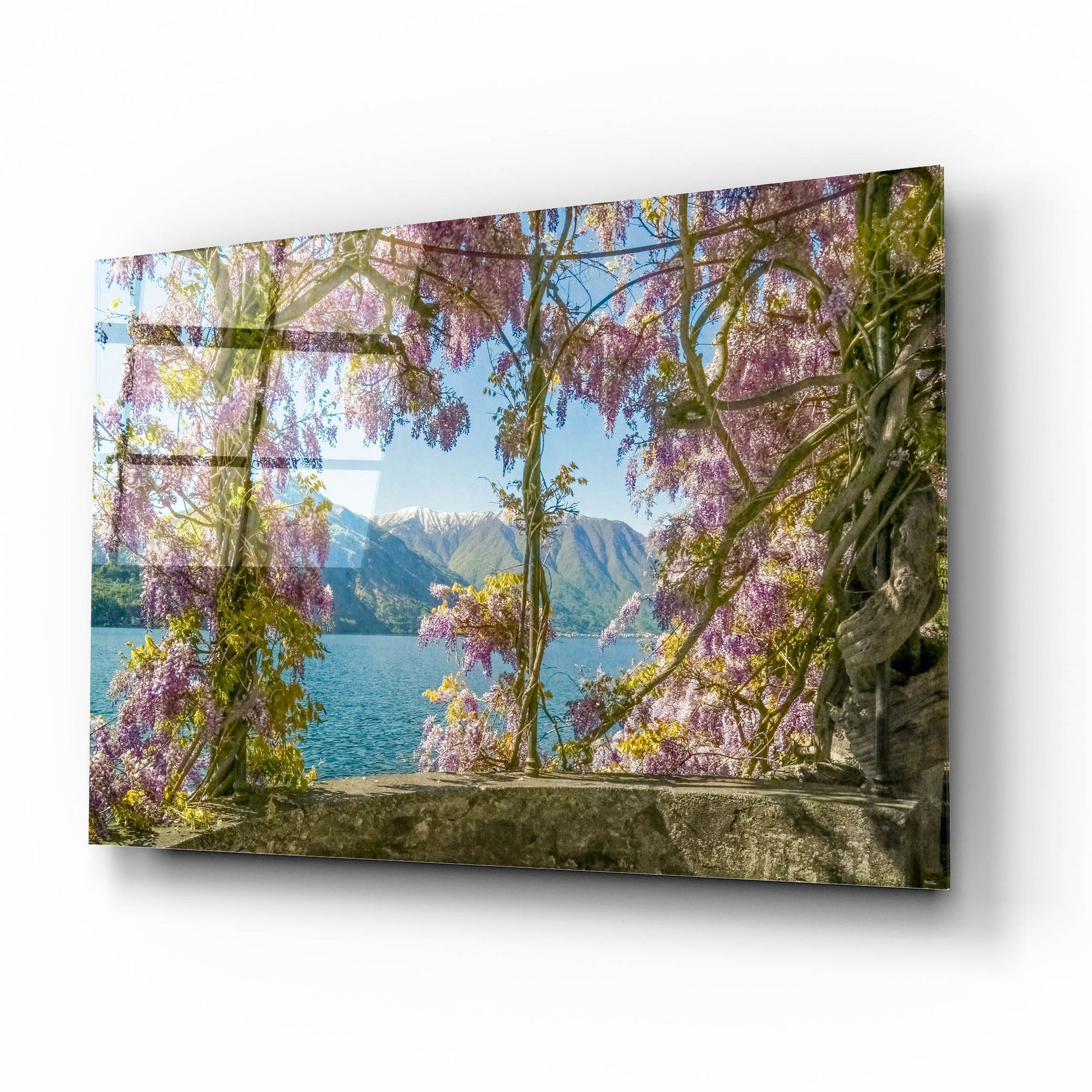 Epic Art ' Wisteria and MountainsLago di Como' by Brooke T. Ryan, Acrylic Glass Wall Art,16x12