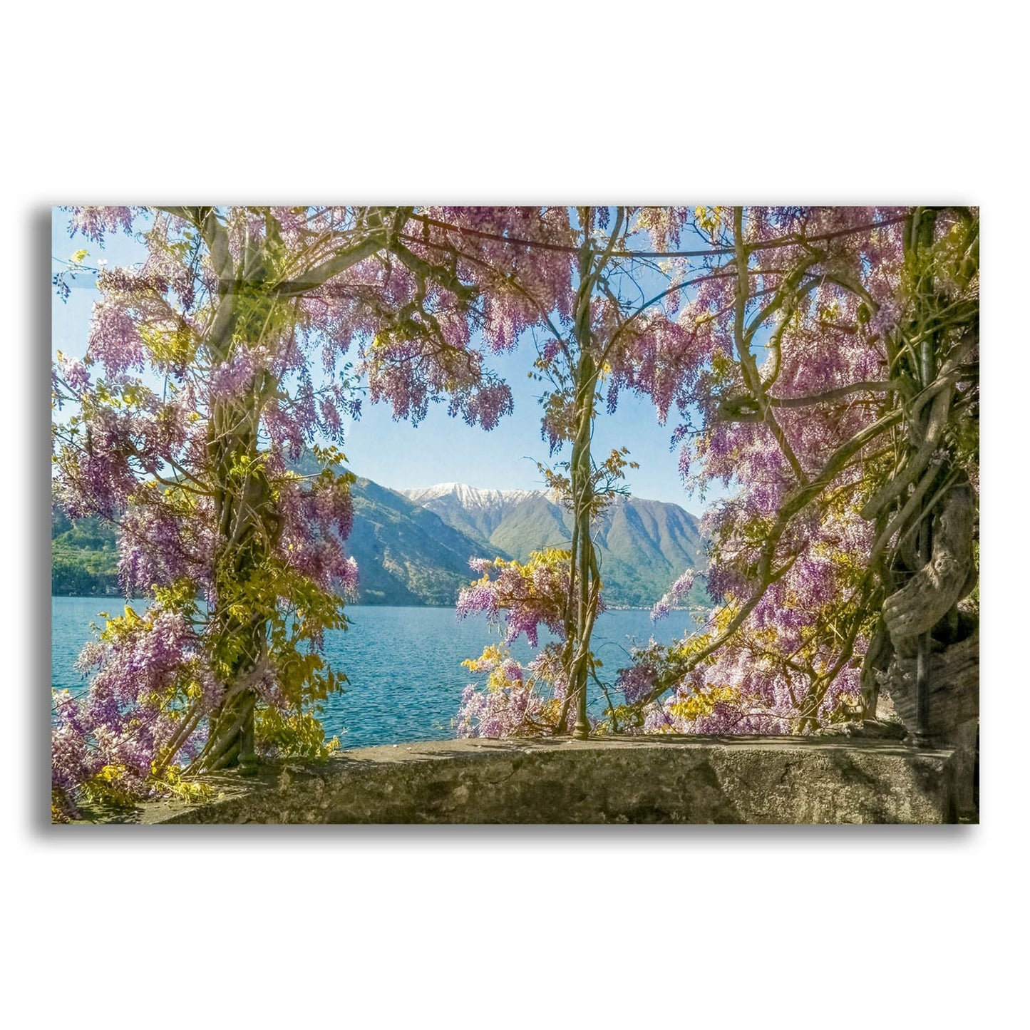 Epic Art ' Wisteria and MountainsLago di Como' by Brooke T. Ryan, Acrylic Glass Wall Art,16x12