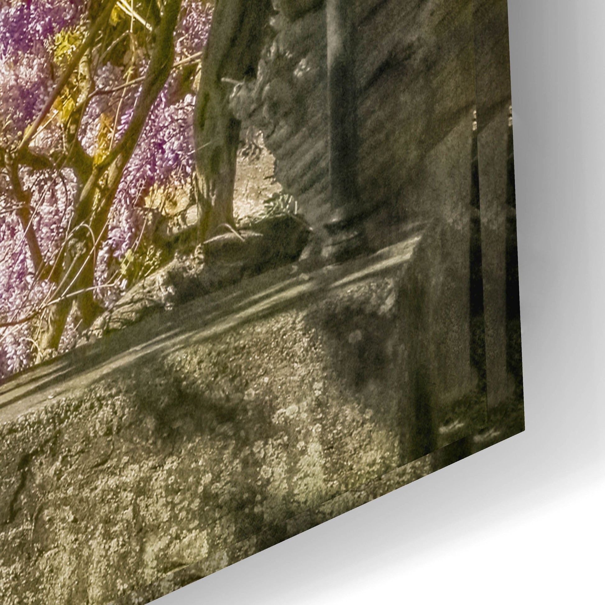 Epic Art ' Wisteria and MountainsLago di Como' by Brooke T. Ryan, Acrylic Glass Wall Art,24x16