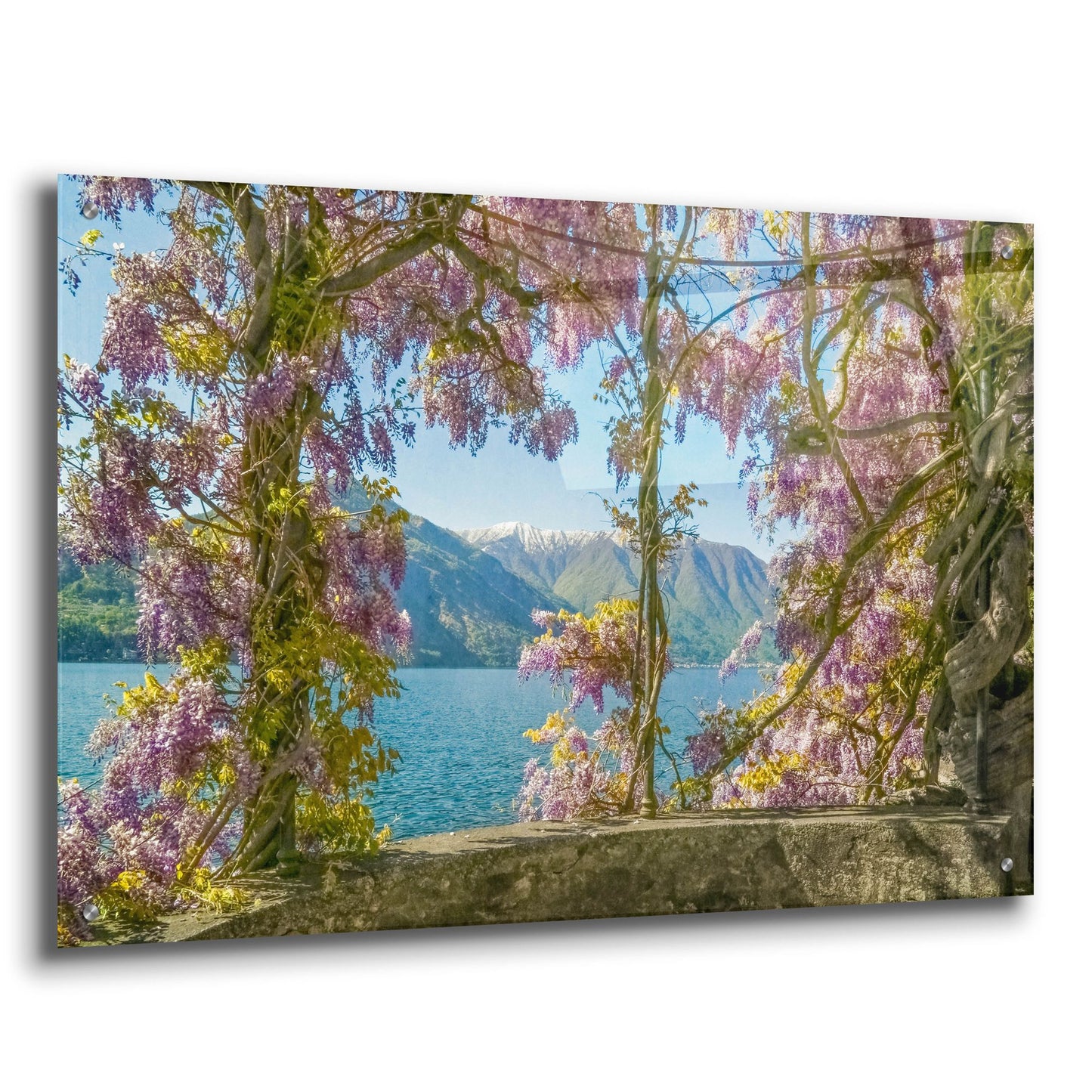 Epic Art ' Wisteria and MountainsLago di Como' by Brooke T. Ryan, Acrylic Glass Wall Art,36x24