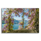 Wisteria and MountainsLago di Como by Brooke T. Ryan acrylic glass wall art