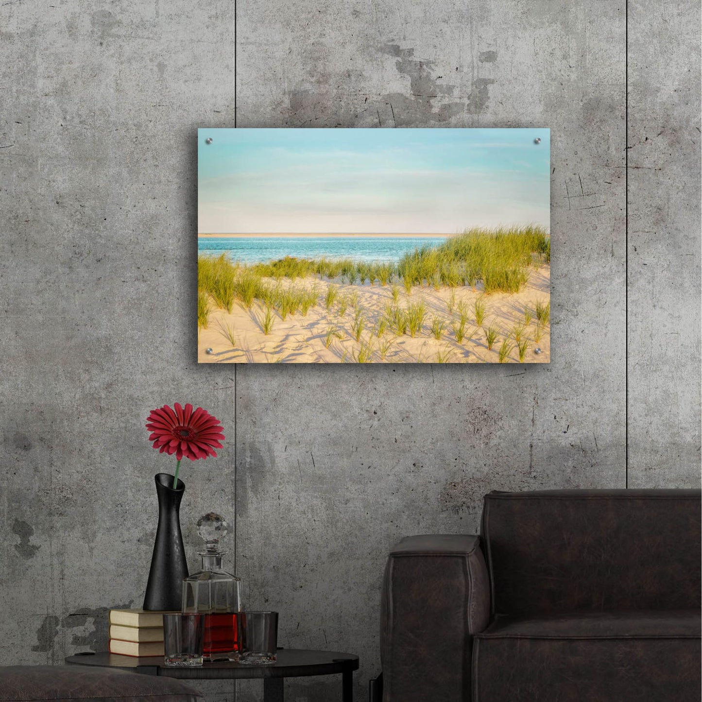 Epic Art ' Monomoy View' by Brooke T. Ryan, Acrylic Glass Wall Art,36x24