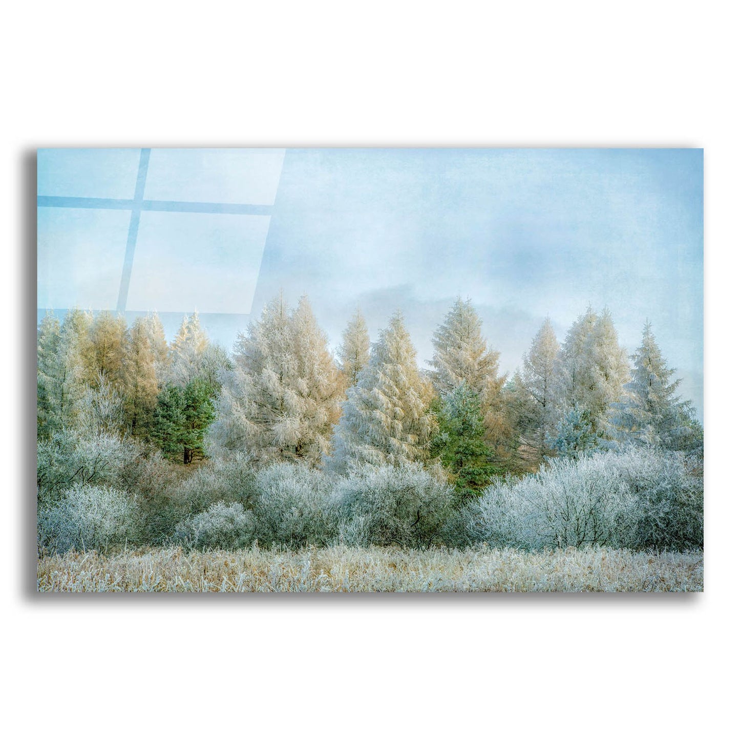 Epic Art ' Winter Wonderland' by Brooke T. Ryan, Acrylic Glass Wall Art,16x12