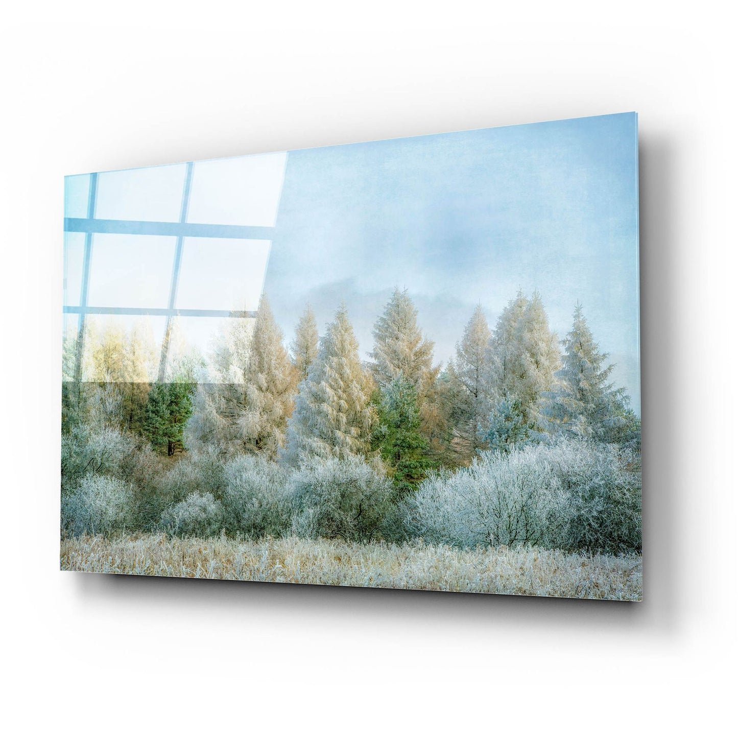 Epic Art ' Winter Wonderland' by Brooke T. Ryan, Acrylic Glass Wall Art,24x16