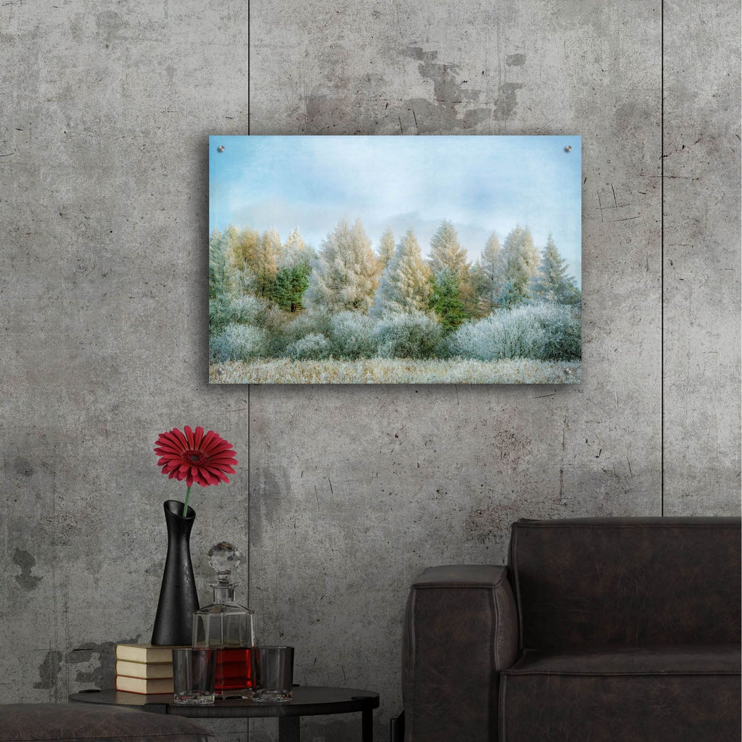 Epic Art ' Winter Wonderland' by Brooke T. Ryan, Acrylic Glass Wall Art,36x24