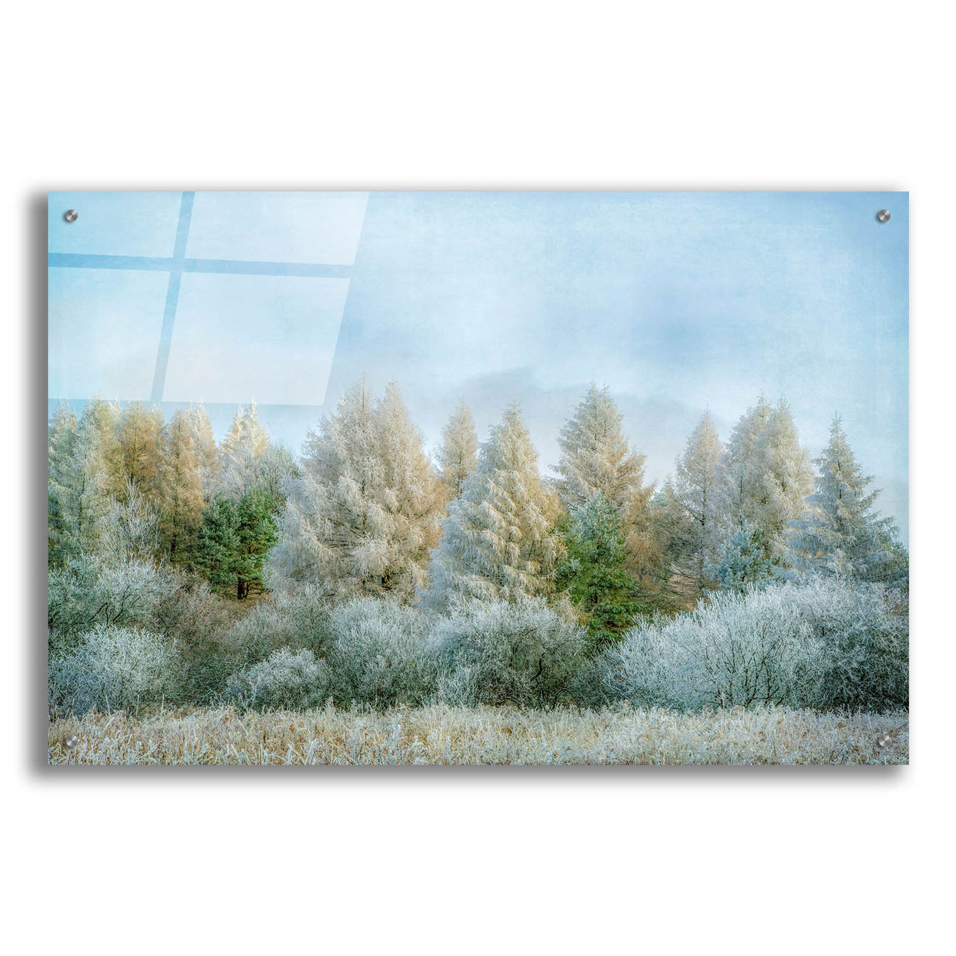 Epic Art ' Winter Wonderland' by Brooke T. Ryan, Acrylic Glass Wall Art,36x24