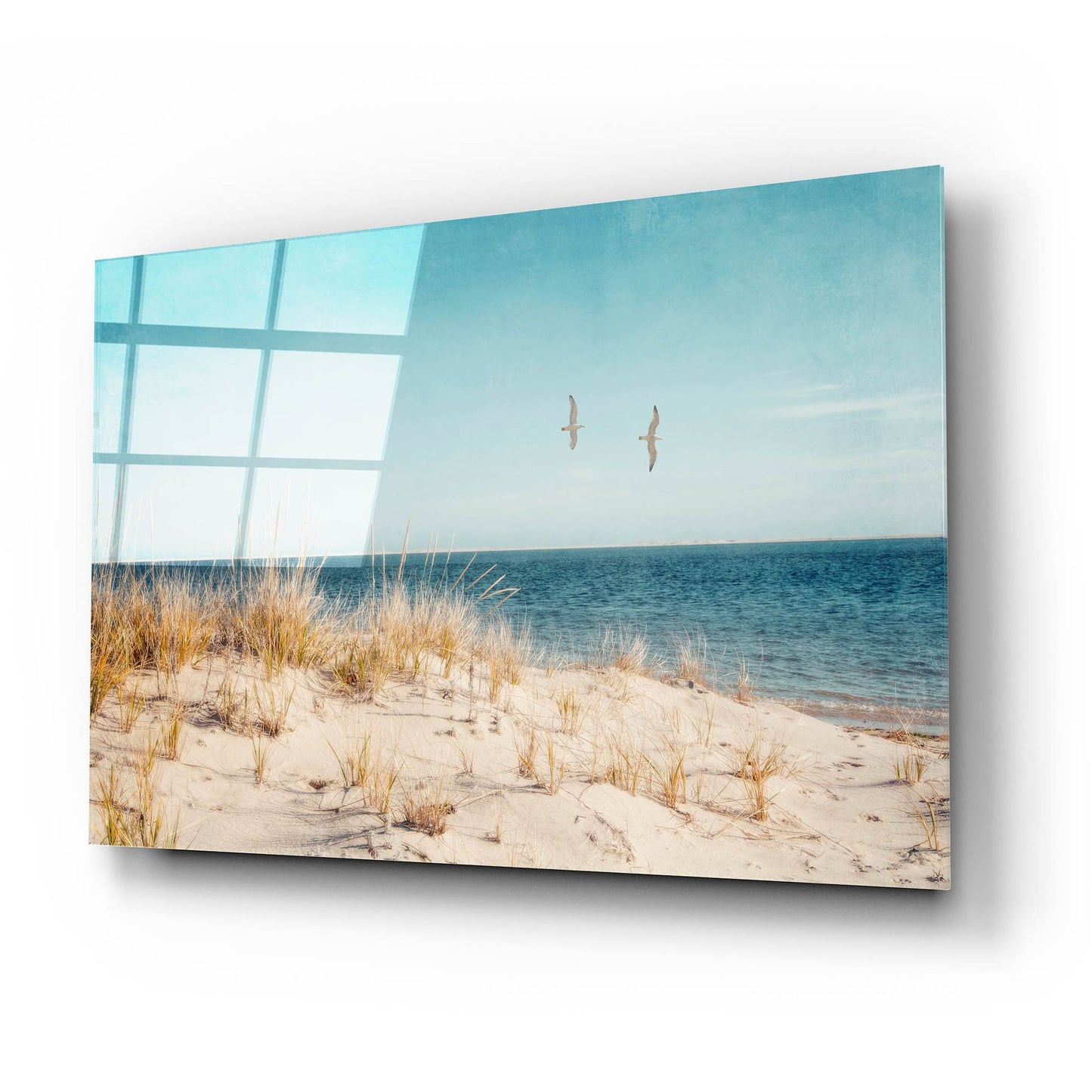 Epic Art ' Beach & Gulls' by Brooke T. Ryan, Acrylic Glass Wall Art,24x16