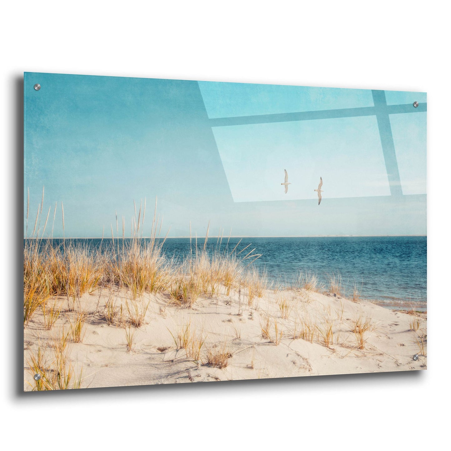 Epic Art ' Beach & Gulls' by Brooke T. Ryan, Acrylic Glass Wall Art,36x24