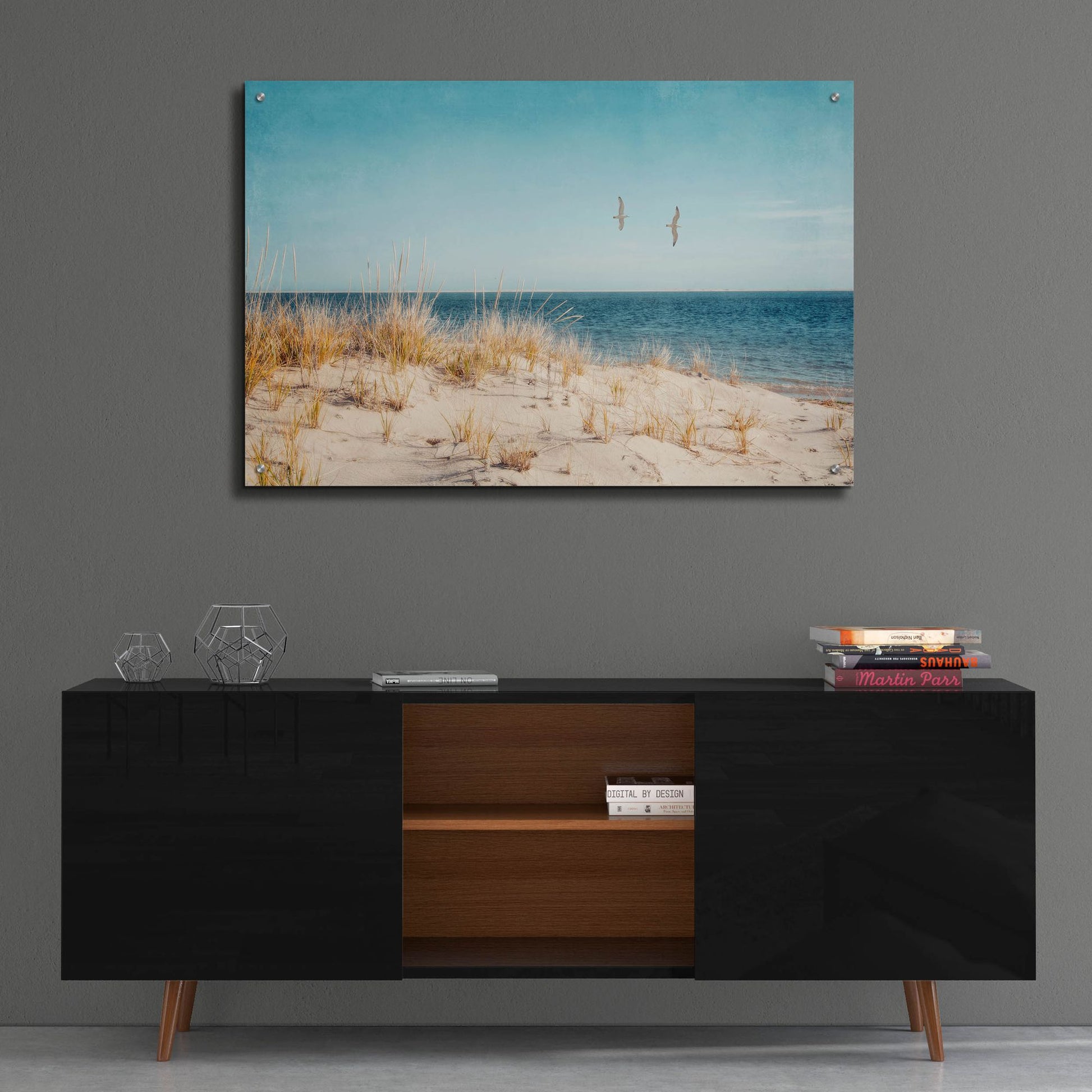 Epic Art ' Beach & Gulls' by Brooke T. Ryan, Acrylic Glass Wall Art,36x24