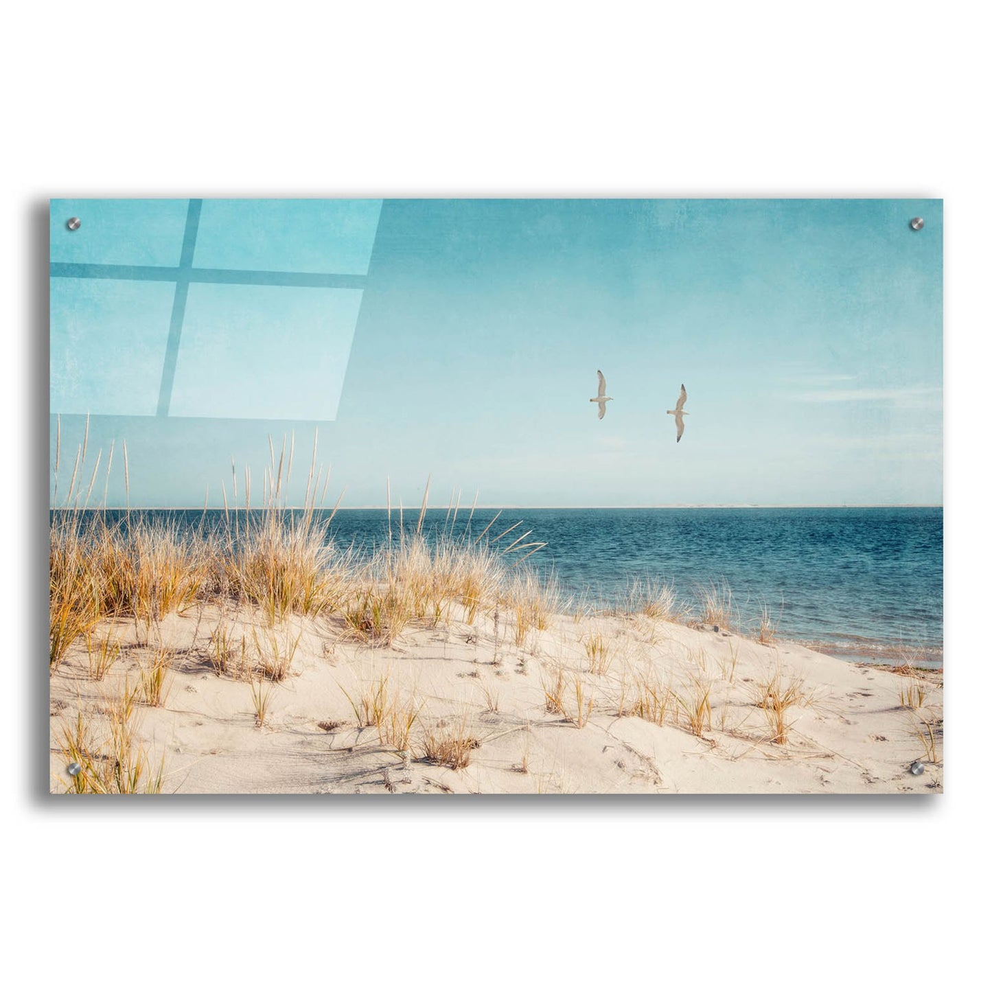 Epic Art ' Beach & Gulls' by Brooke T. Ryan, Acrylic Glass Wall Art,36x24