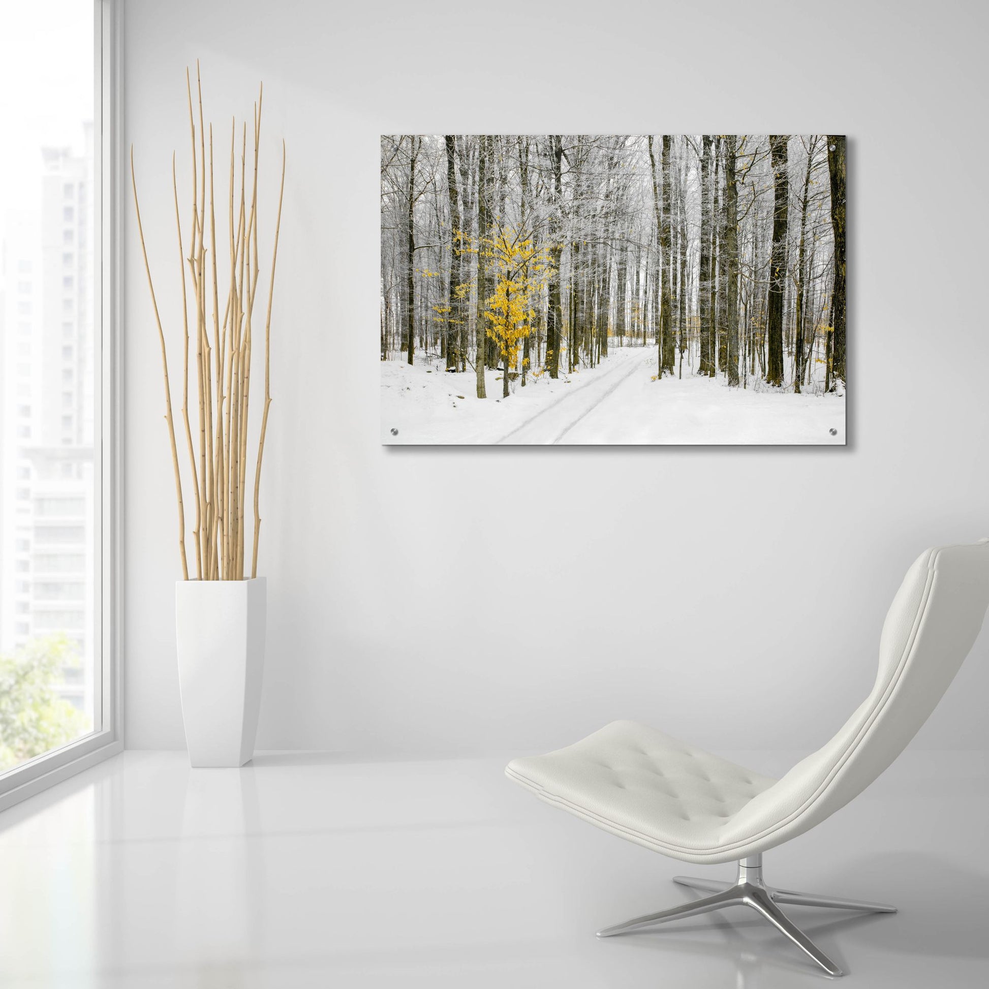 Epic Art ' Mustard Tree' by Brooke T. Ryan, Acrylic Glass Wall Art,36x24