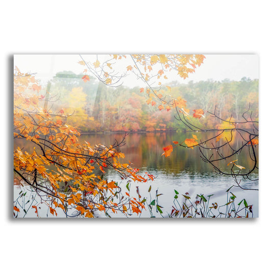 Epic Art ' Autumn Pond' by Brooke T. Ryan, Acrylic Glass Wall Art