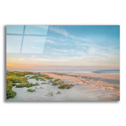 Epic Art ' Morning Beach' by Brooke T. Ryan, Acrylic Glass Wall Art