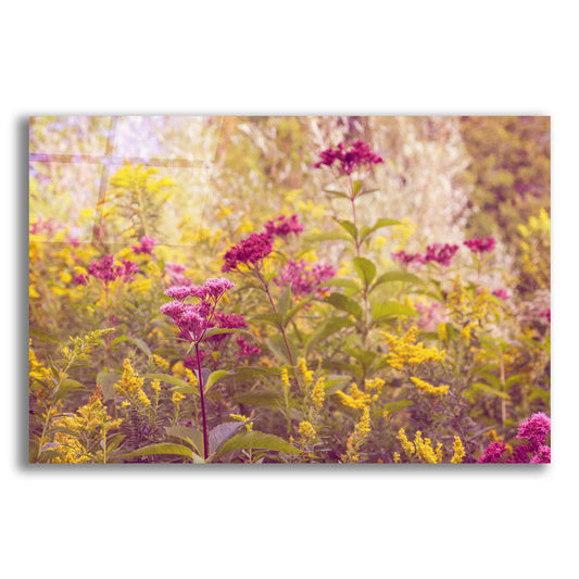 Epic Art ' Plum and Mustard Wildflowers' by Brooke T. Ryan, Acrylic Glass Wall Art