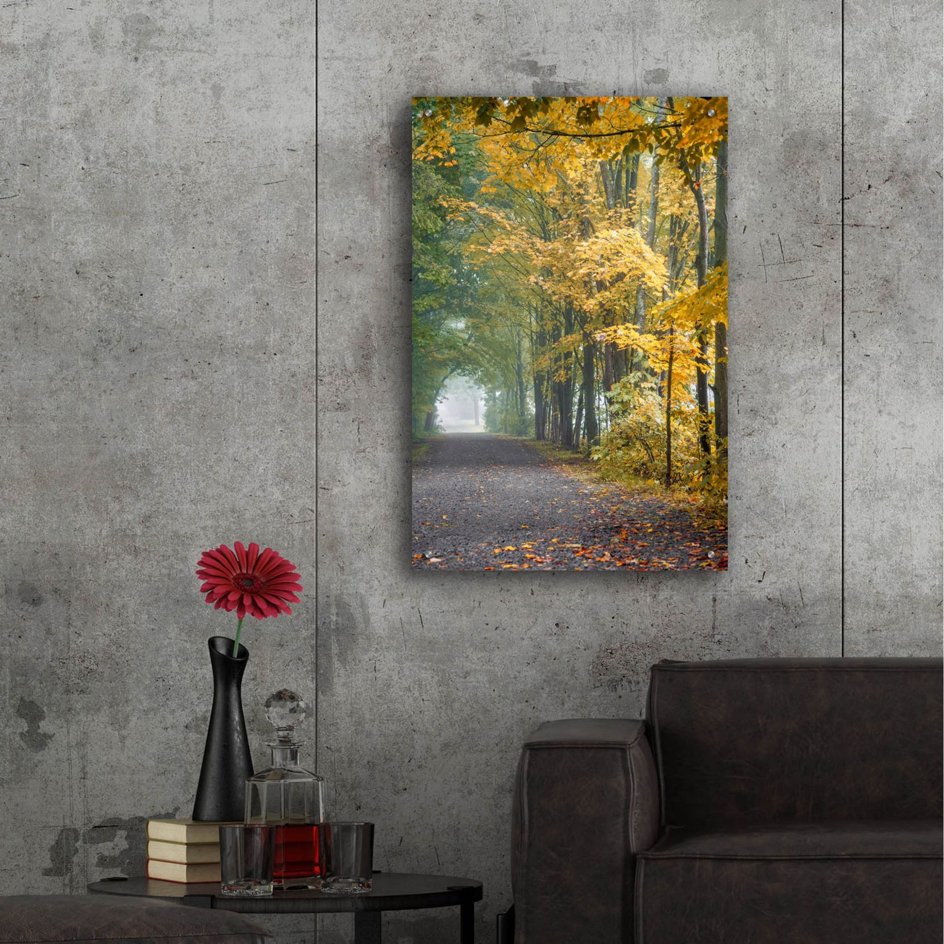 Epic Art ' Tunnel Through Misty Forest' by Brooke T. Ryan, Acrylic Glass Wall Art,24x36