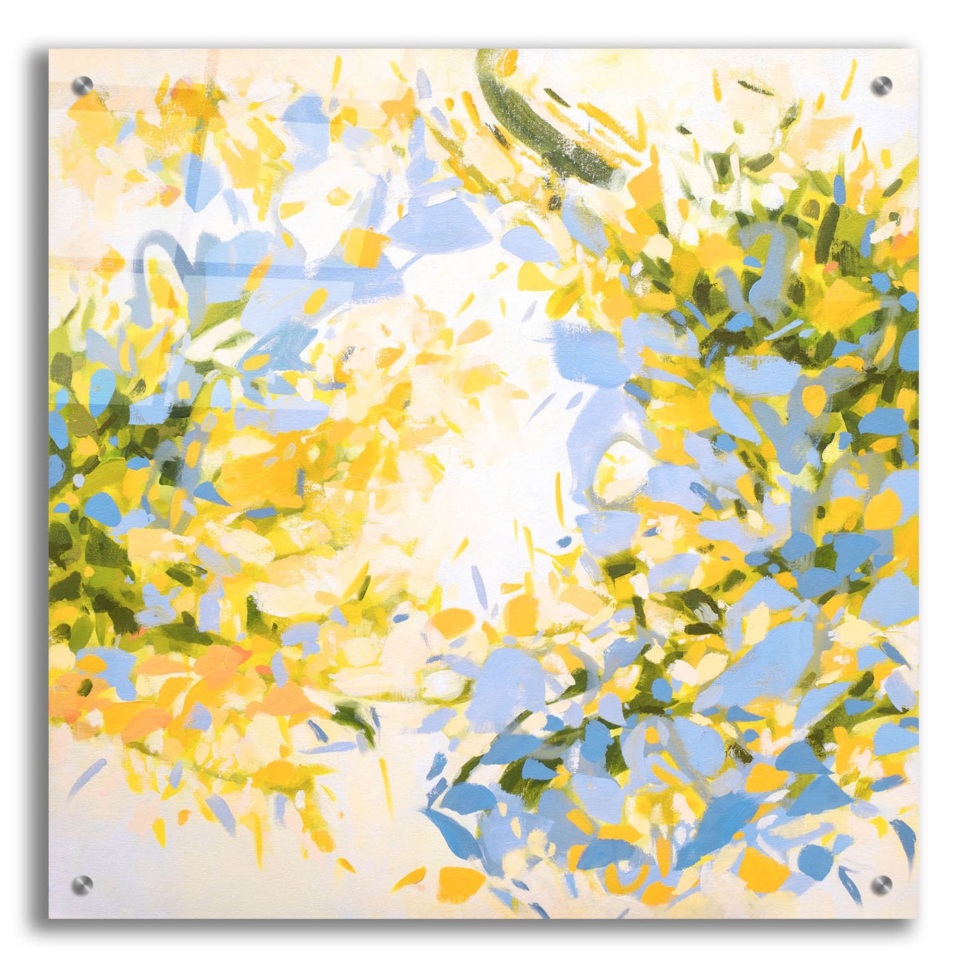 Epic Art ' Spring Bliss' by Cameron Schmitz, Acrylic Glass Wall Art,24x24