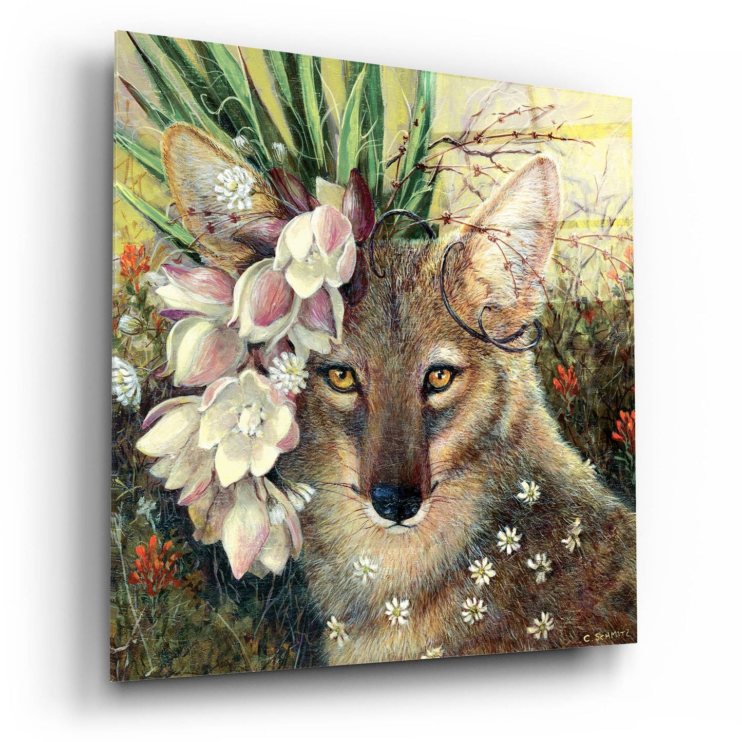 Epic Art ' Death Valley Beauty' by Carolyn Schmitz, Acrylic Glass Wall Art,12x12