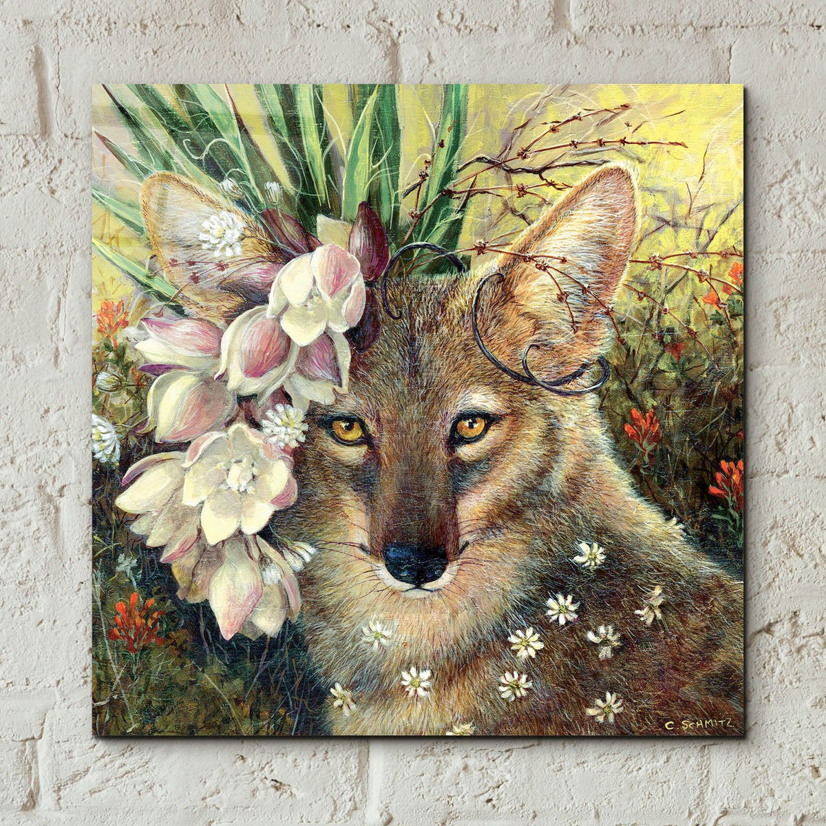 Death Valley Beauty by Carolyn Schmitz - 12x12 acrylic wall art in a room