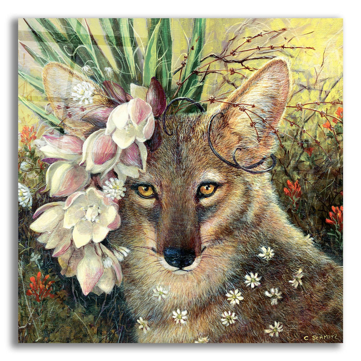 Death Valley Beauty by Carolyn Schmitz acrylic glass wall art