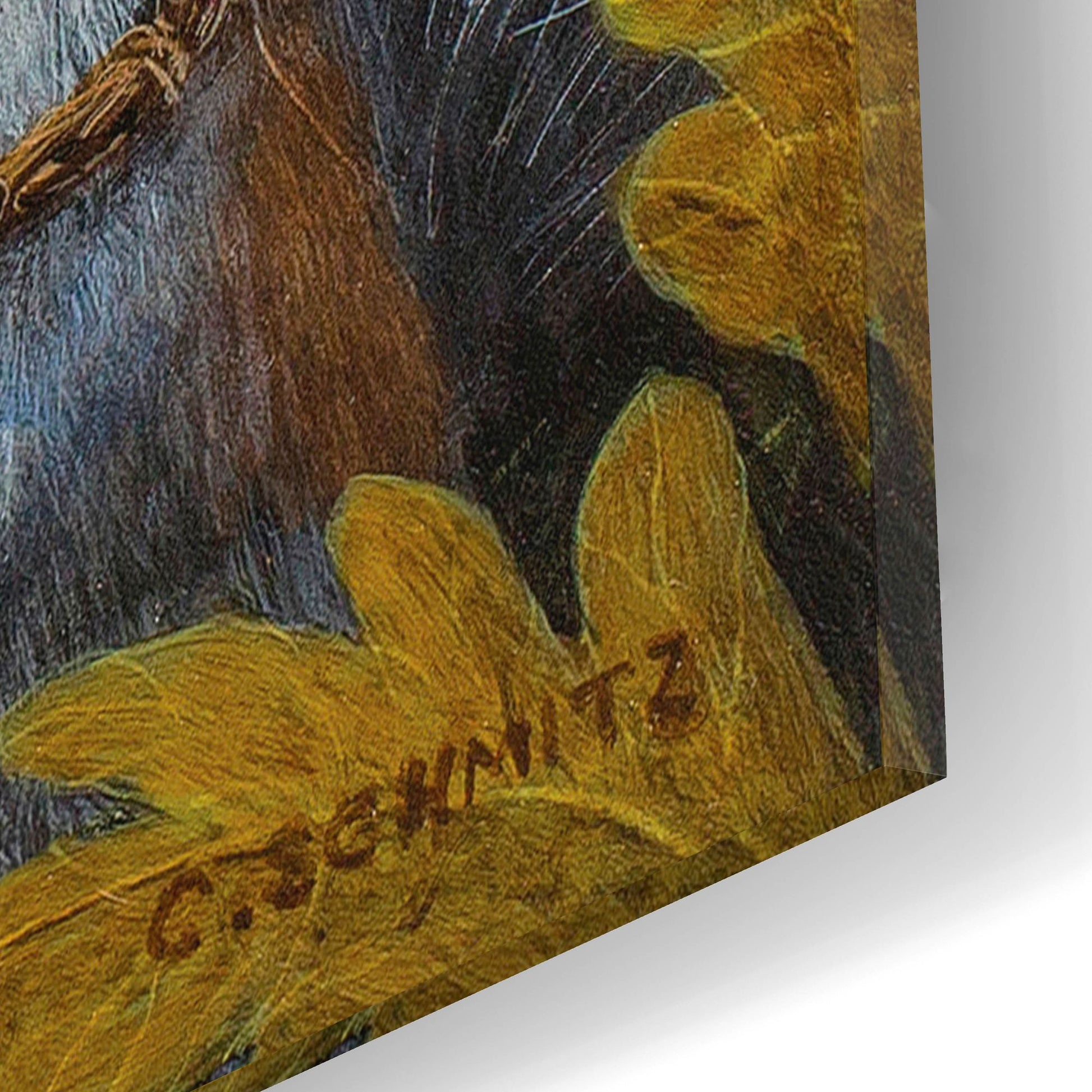 Epic Art ' The Squirrel's Dream' by Carolyn Schmitz, Acrylic Glass Wall Art,12x16