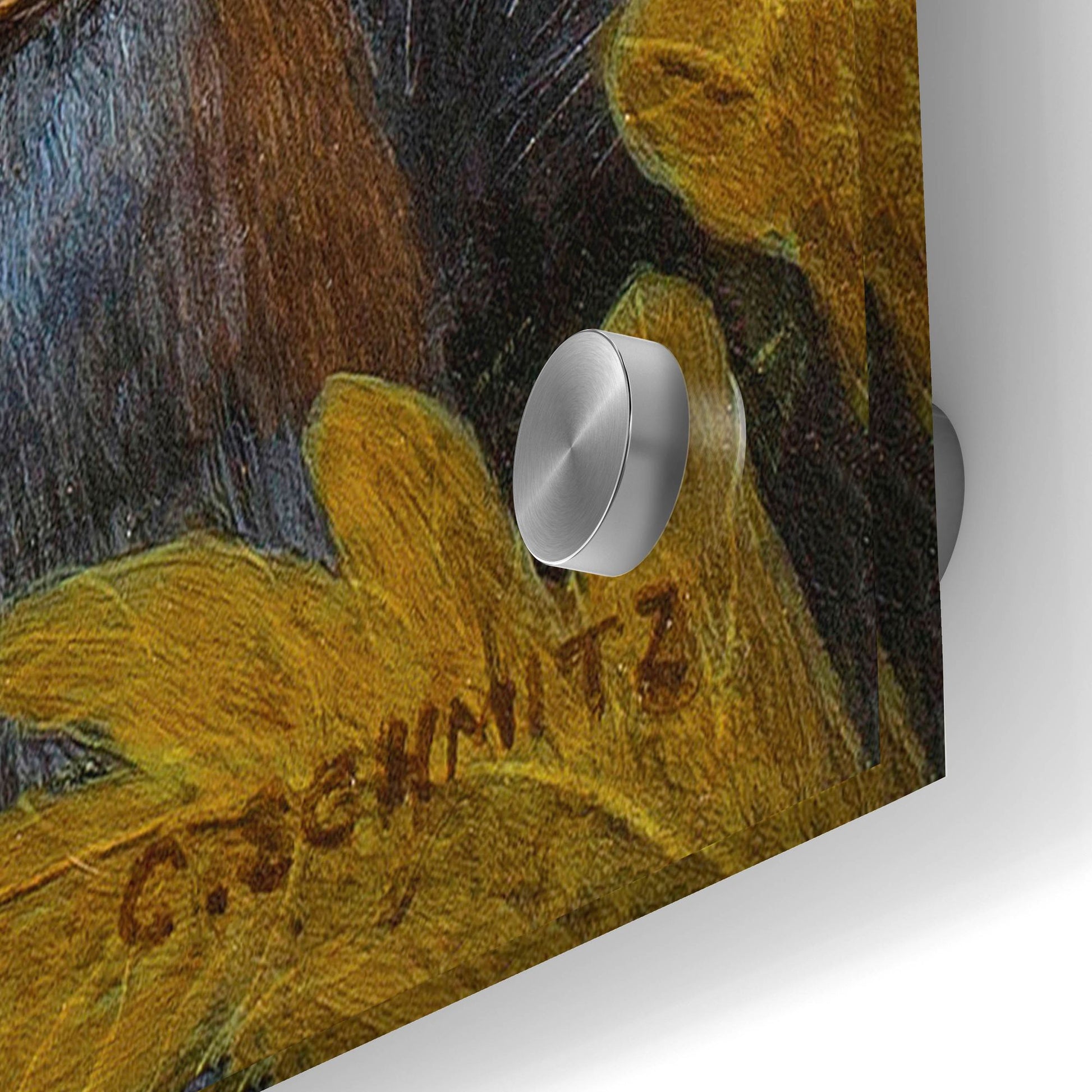 Epic Art ' The Squirrel's Dream' by Carolyn Schmitz, Acrylic Glass Wall Art,24x36