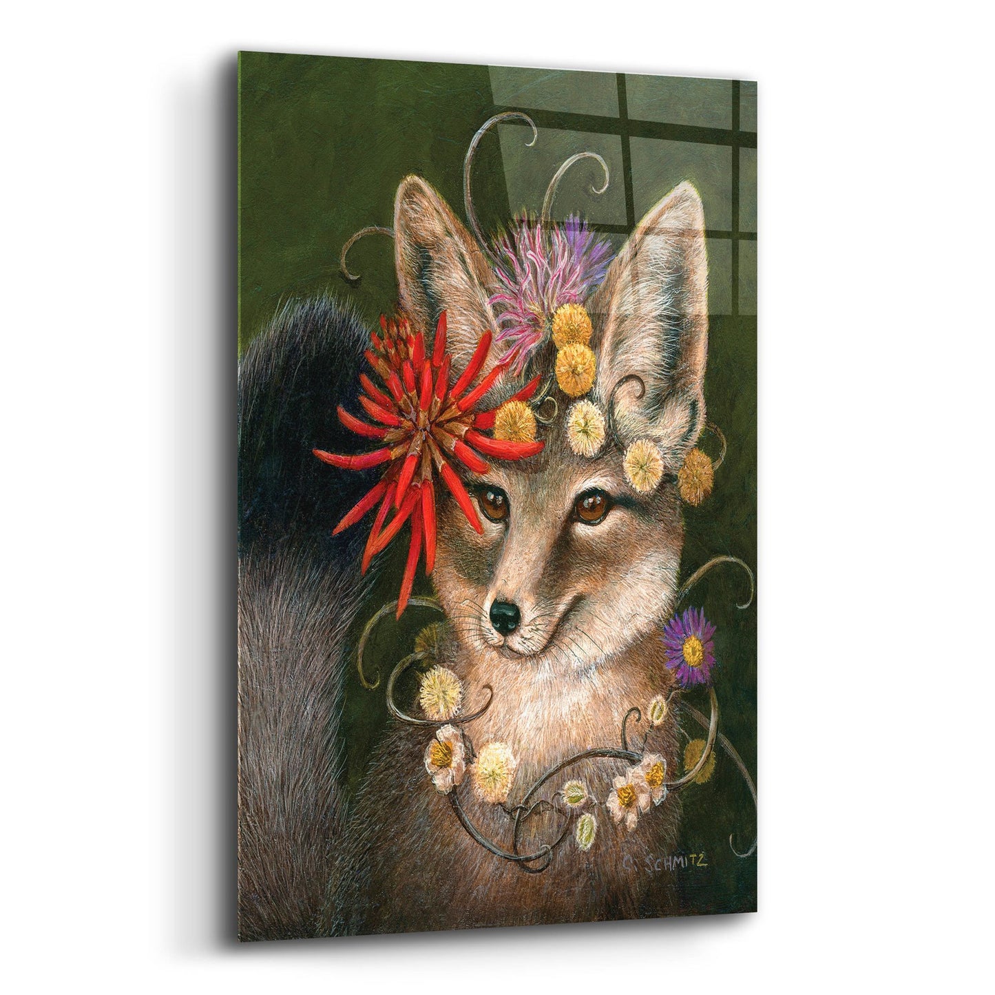 Epic Art ' Kit Fox in Coral' by Carolyn Schmitz, Acrylic Glass Wall Art,12x16