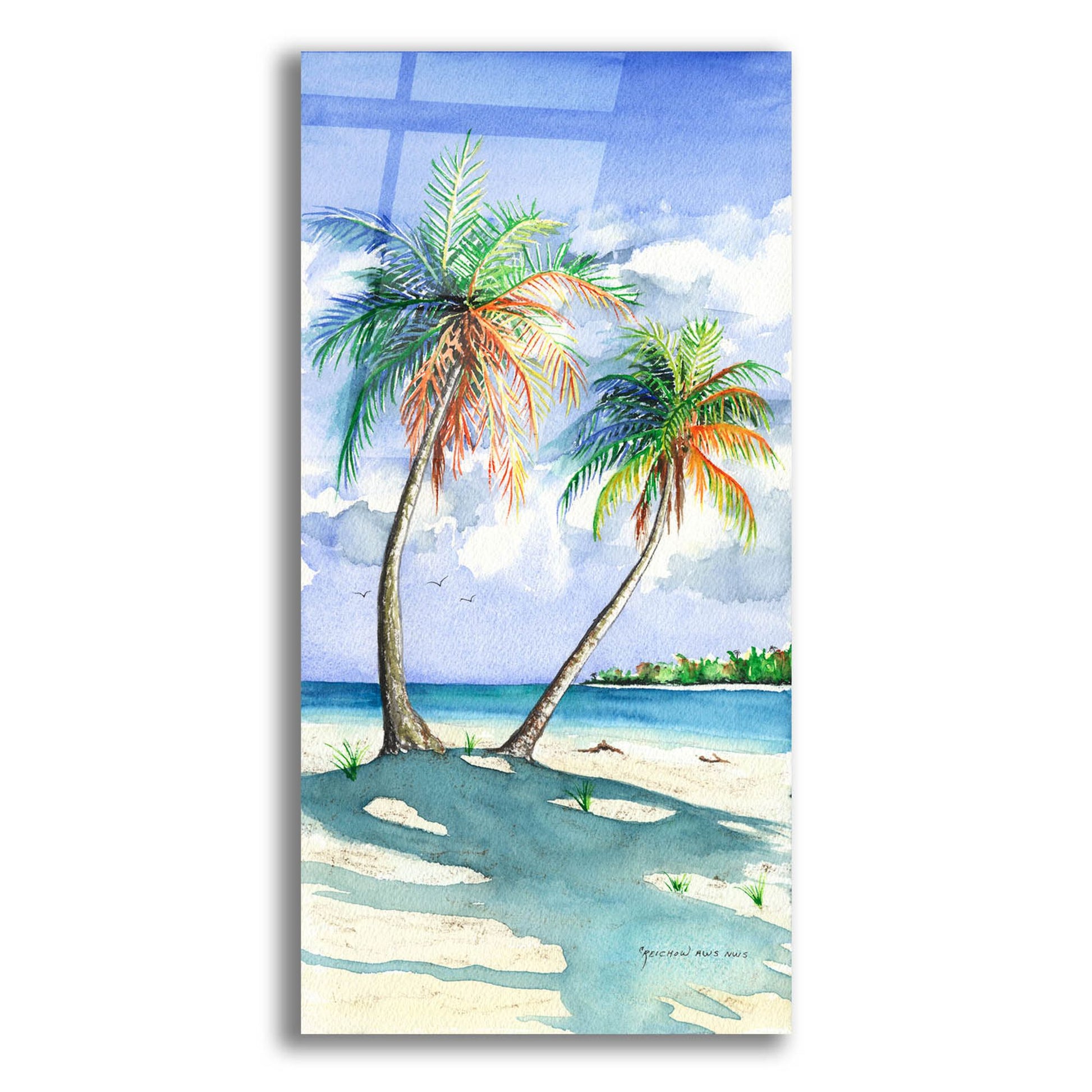 Epic Art ' Palm Shadows' by Christine Reichow, Acrylic Glass Wall Art,12x24