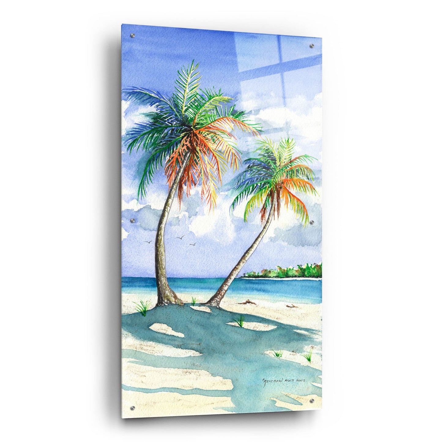 Epic Art ' Palm Shadows' by Christine Reichow, Acrylic Glass Wall Art,24x48