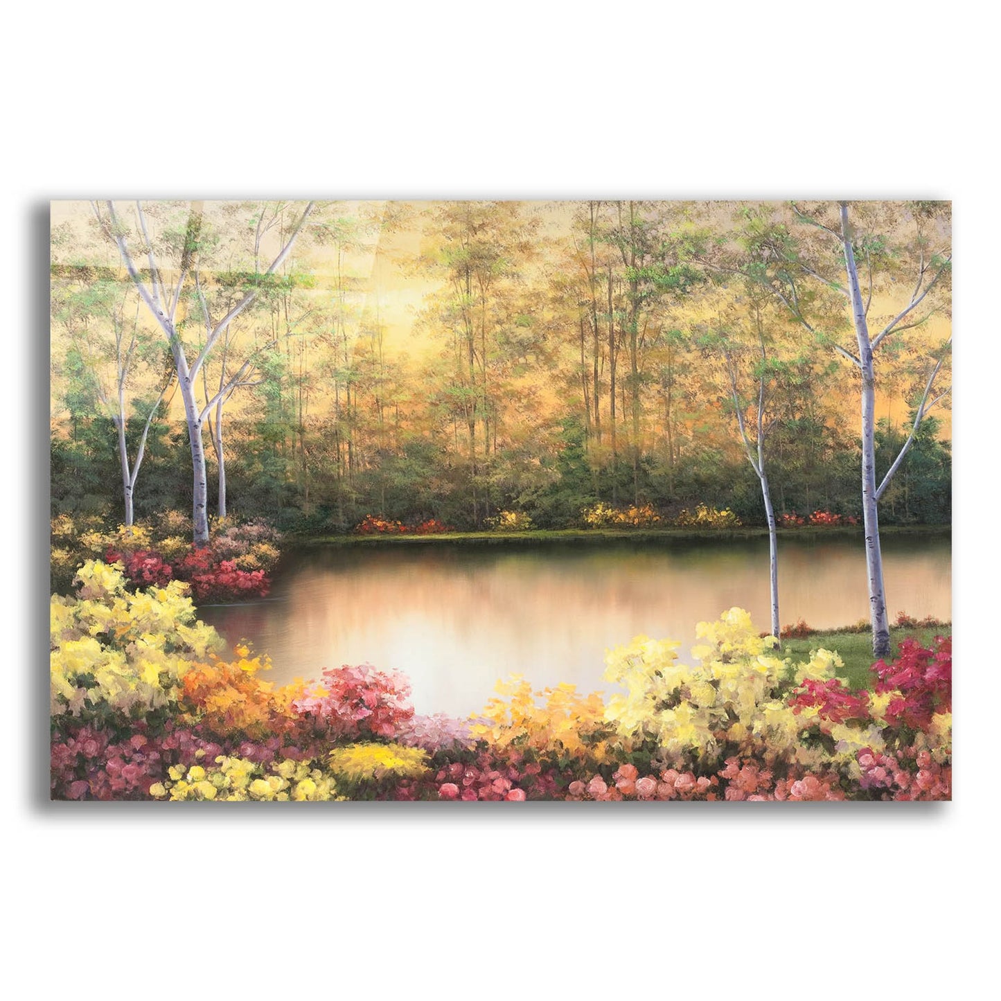 Epic Art ' Bursting in Autumn' by Diane Romanello, Acrylic Glass Wall Art,16x12