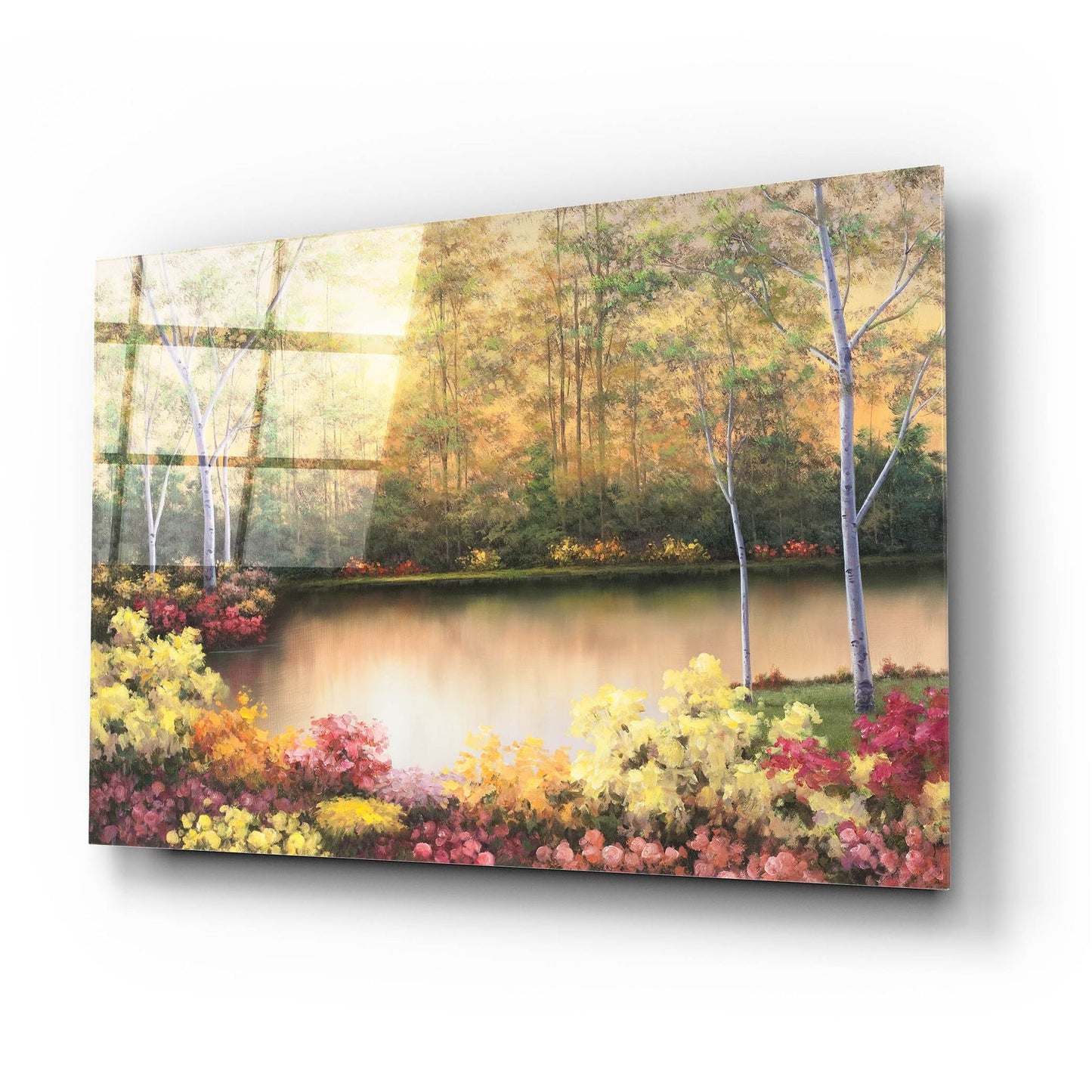 Epic Art ' Bursting in Autumn' by Diane Romanello, Acrylic Glass Wall Art,24x16