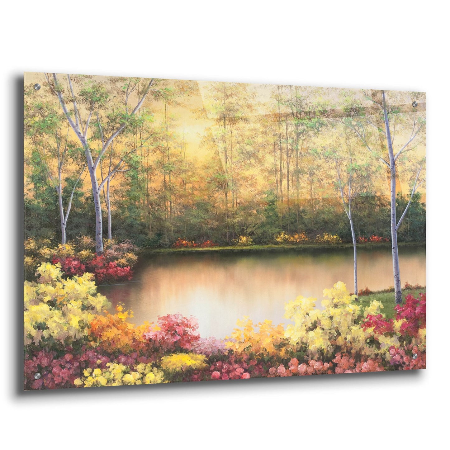 Epic Art ' Bursting in Autumn' by Diane Romanello, Acrylic Glass Wall Art,36x24