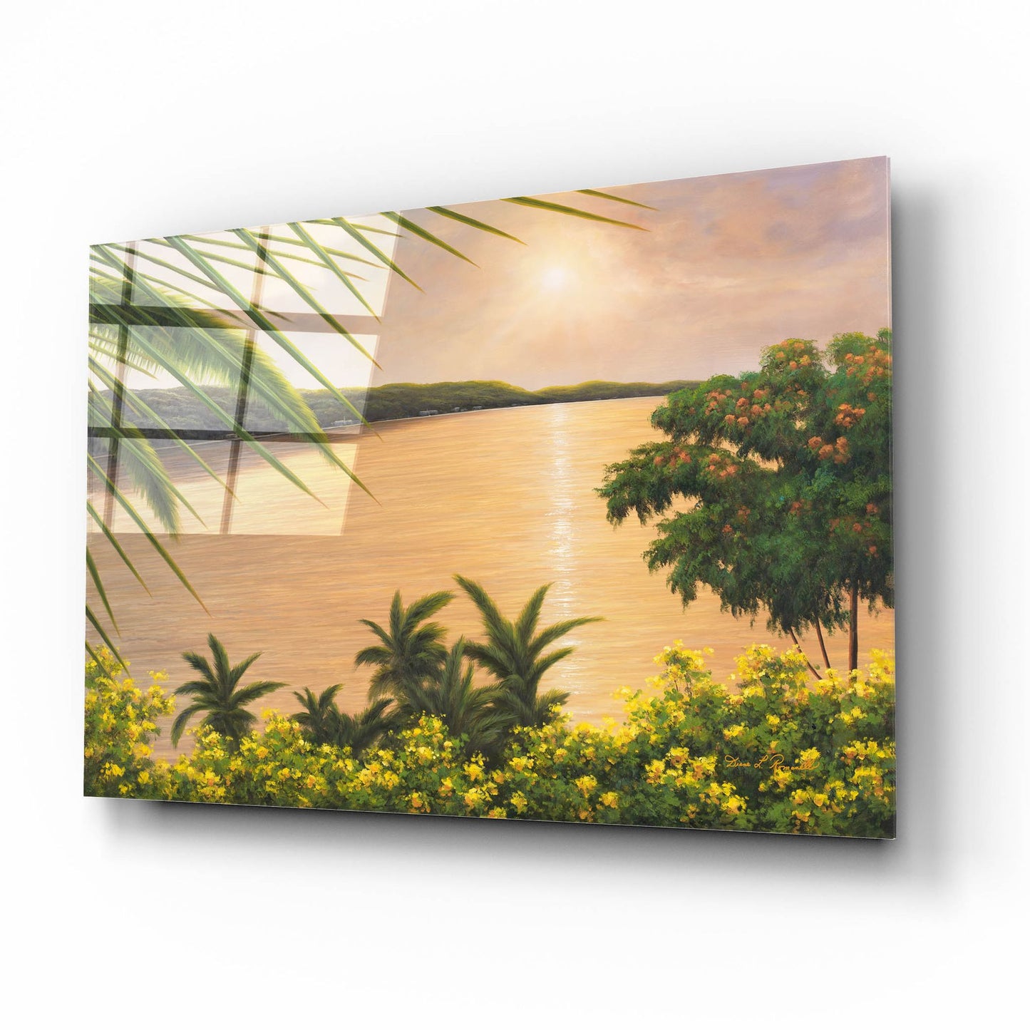 Epic Art ' Wonder of the Tropics' by Diane Romanello, Acrylic Glass Wall Art,16x12